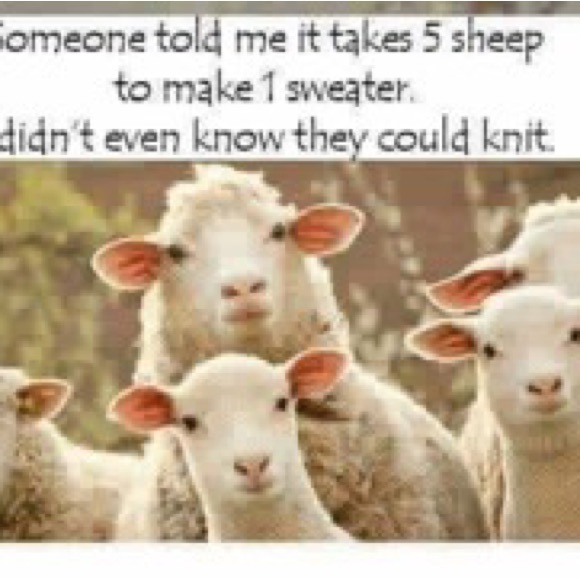 Meet your Posher, Laura - Picture 10 of 11